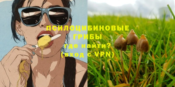 МДМА Медвежьегорск